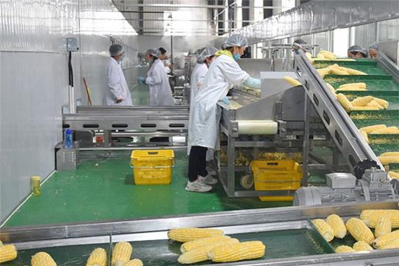 农产品加工项目有哪些